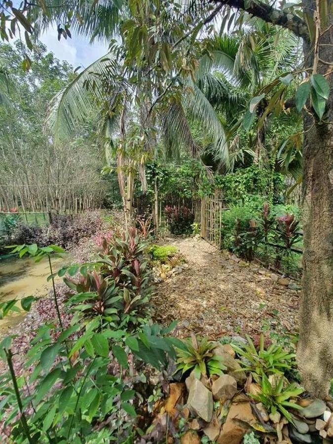 Nakhon Si Ban Na Homestay 나콘시탐마랏 외부 사진