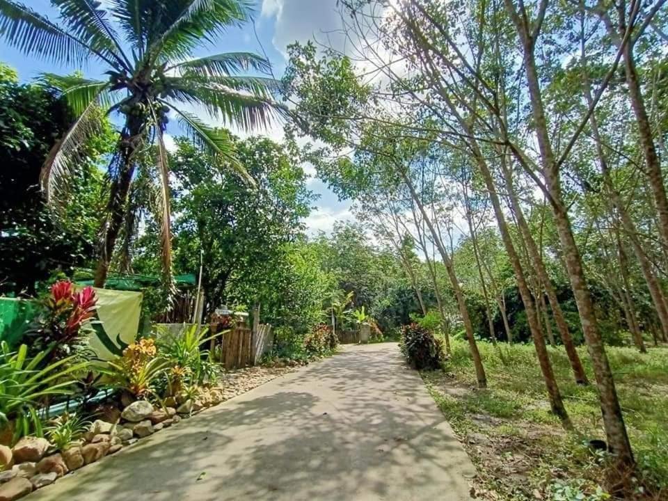 Nakhon Si Ban Na Homestay 나콘시탐마랏 외부 사진
